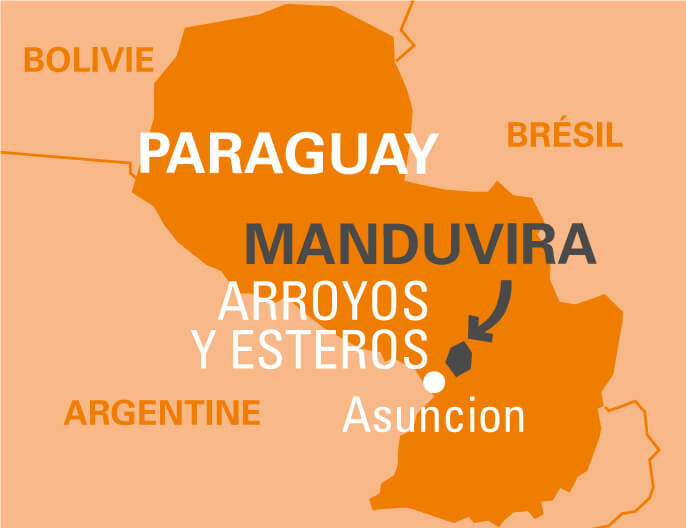 Carte coopÃ©rative Manduvira du Paraguay sucre blond Ã©quitable et bio